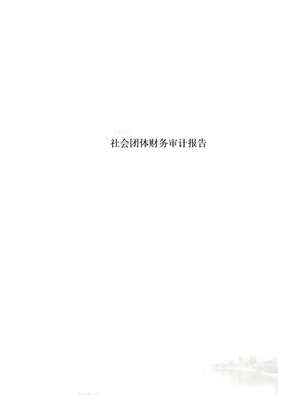 社会团体财务审计报告