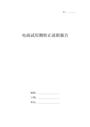 电商试用期转正述职报告