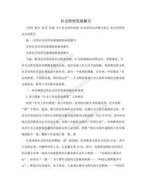 社会组织发展报告