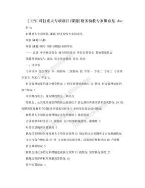 [工作]科技重大专项项目(课题)财务验收专家组意见.doc