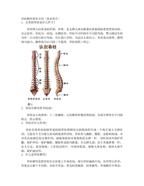 脊柱侧弯简单介绍(基本简介)