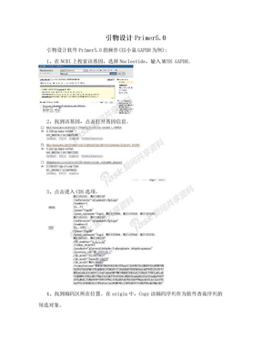 引物设计Primer5.0