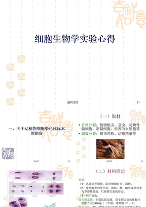 细胞生物学实验心得