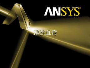 ansys_workbench_弹性血管分析实例