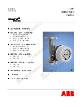 转子流量计FAM5400