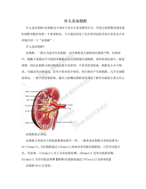 什么是血肌酐