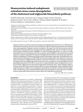 Homocysteine-induced内质网应激导致失调的胆固醇和甘油三酯生物合成途径