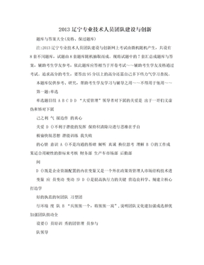 2013辽宁专业技术人员团队建设与创新