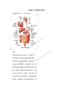 [最新]人体消化系统