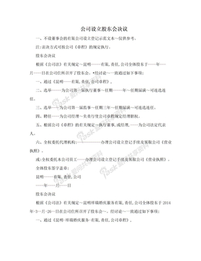 公司设立股东会决议