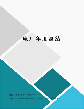 电厂年度总结