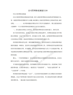 公司管理体系规划!230