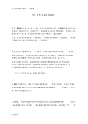 电厂个人专业技术总结
