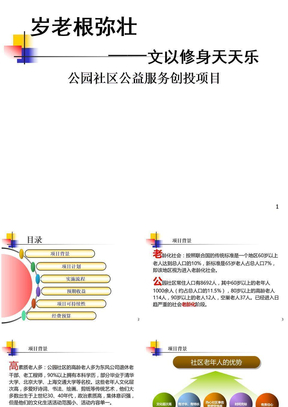 社区公益创投项目PPT精品文档