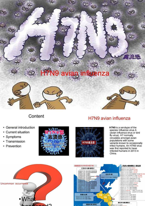 H7N9  英语