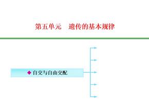 2-1-2 自交和自由交配