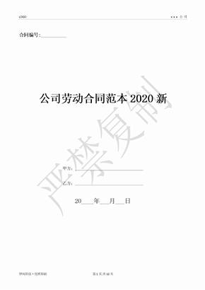 公司劳动合同范本2020新-(优质文档)