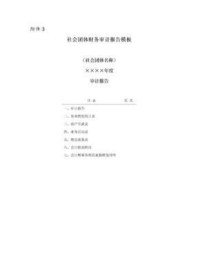 社会团体报表报告模板Word版