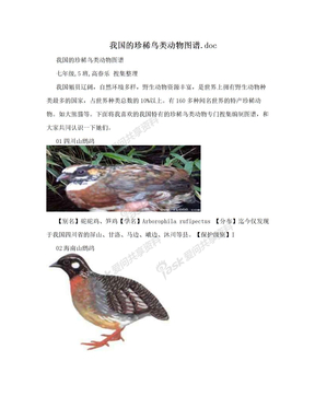 我国的珍稀鸟类动物图谱.doc