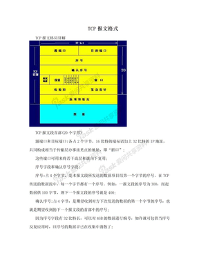 TCP报文格式