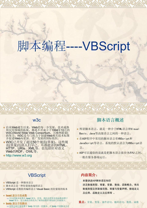 脚本语言-VBScript