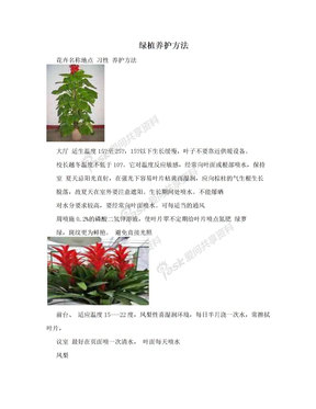 绿植养护方法