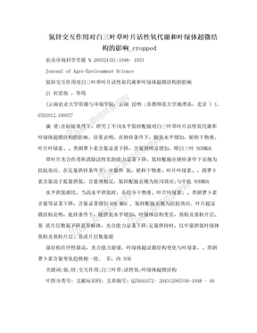 氮锌交互作用对白三叶草叶片活性氧代谢和叶绿体超微结构的影响_cropped