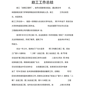 助工工作总结