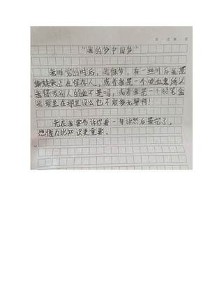 小学生的中国梦