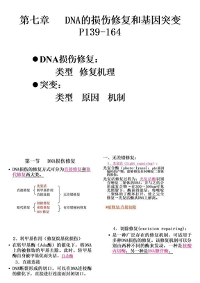 DNA损伤与修复