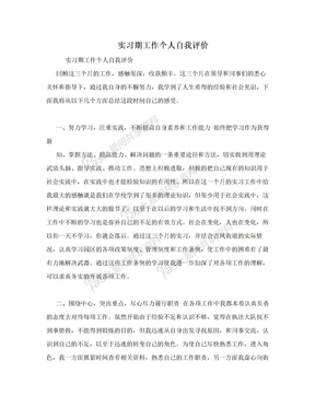 实习期工作个人自我评价