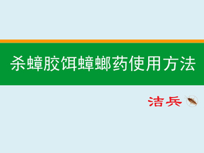 杀蟑胶饵蟑螂药使用方法