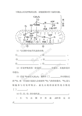 探究酵母菌细胞呼吸的方式