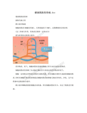 健康肌肤的基础.doc