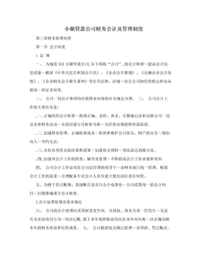 小额贷款公司财务会计及管理制度