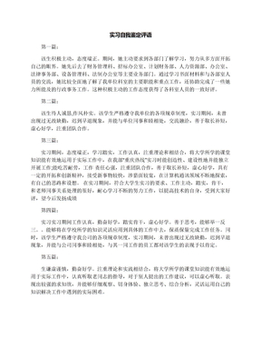 实习自我鉴定评语