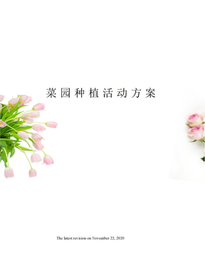 菜园种植活动方案