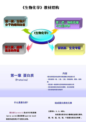 蛋白质的基本组成单位氨基酸及其连接方式