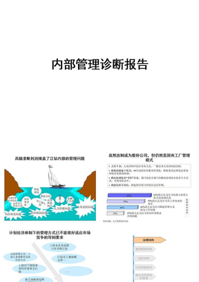 内部管理诊断报告