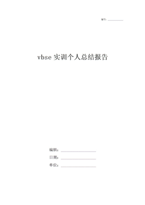 vbse实训个人总结报告