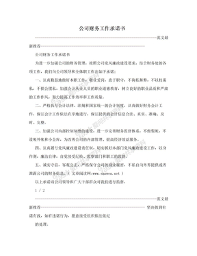 公司财务工作承诺书