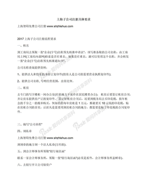 上海子公司注册具体要求