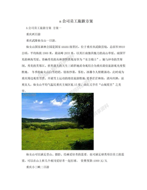 a公司员工旅游方案