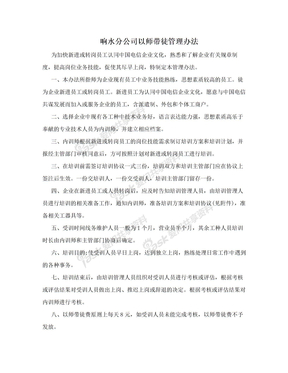 响水分公司以师带徒管理办法