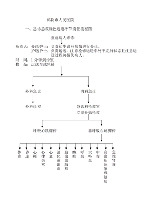 绿色通道流程图