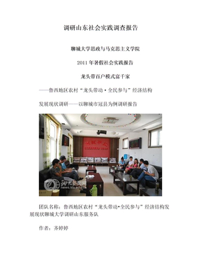 调研山东社会实践调查报告