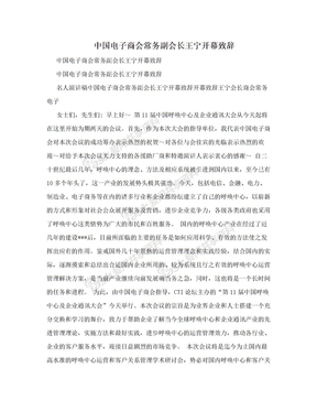 中国电子商会常务副会长王宁开幕致辞
