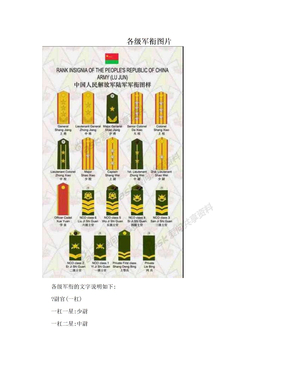 各级军衔图片