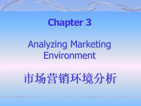 市场营销学营销环境分析ppt课件
