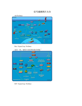 信号通路图片大全